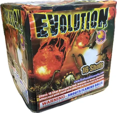 Evolution 500 gram cake box