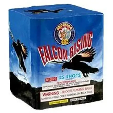 Falcon Rising 500 gram cake box