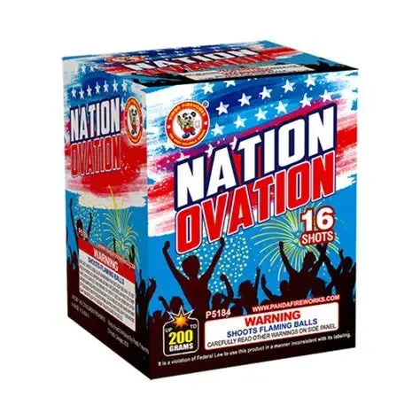 Nation Ovation 200 gram cake box