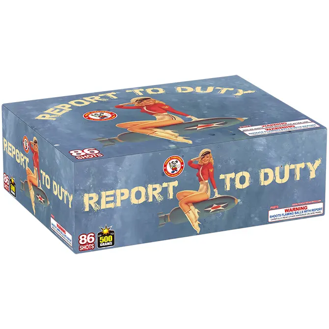 Report To Duty 500 gram cake box
