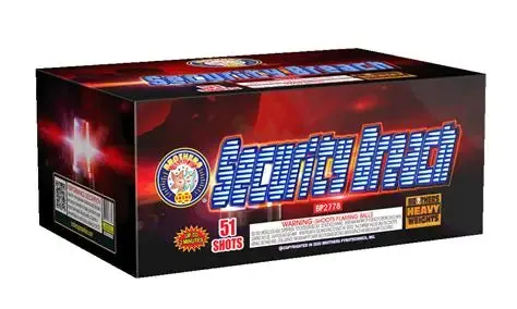 Security Breach 500 gram cake box