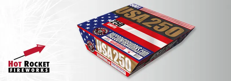 USA 250 500 gram cake box